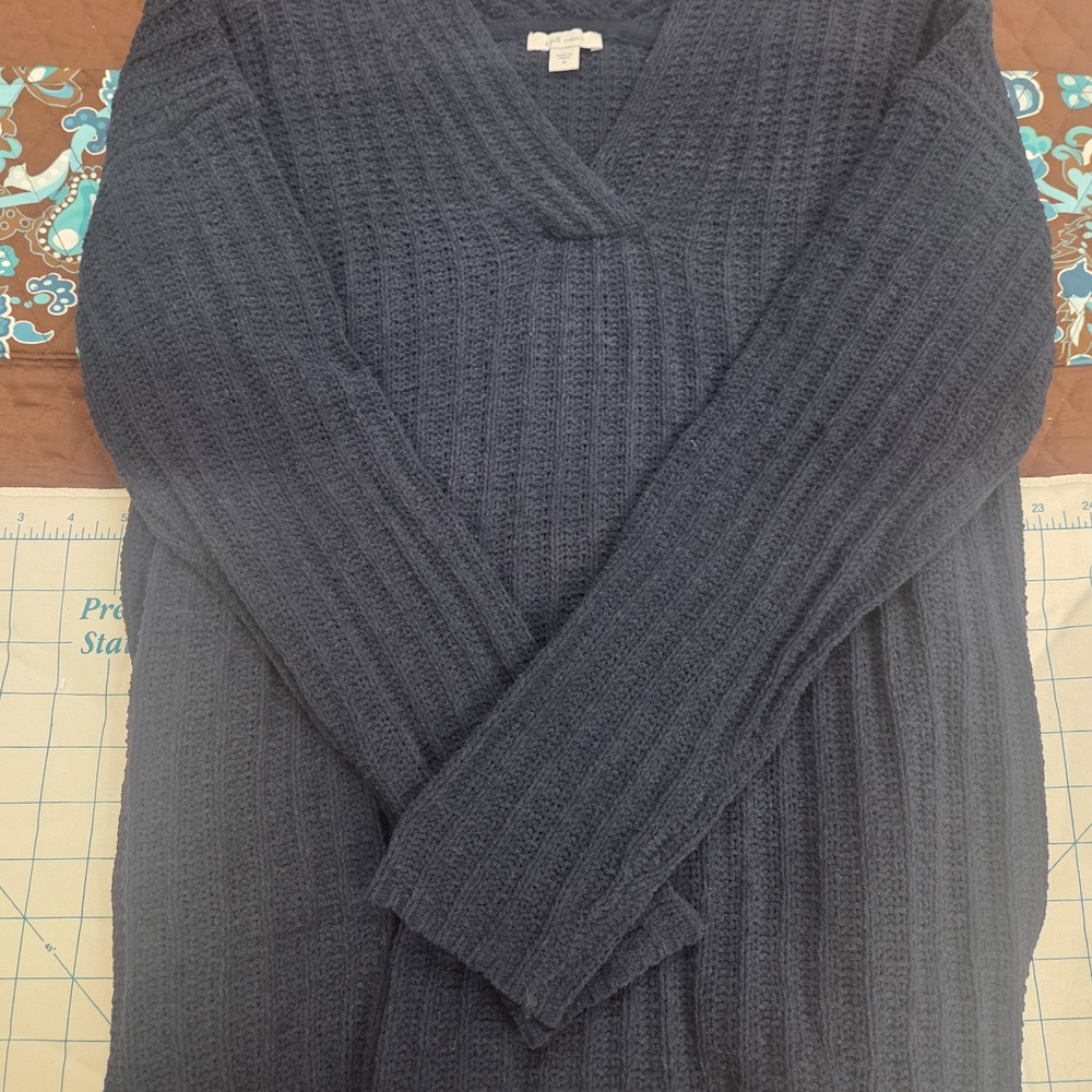 J. Jill Deep Blue V-Neck Sweater